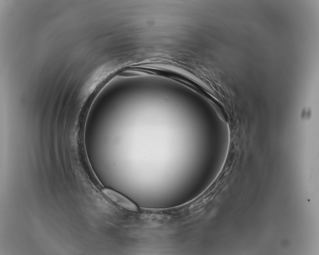 X0000090610242200707241112