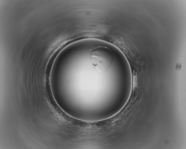 X0000090610243200707241112