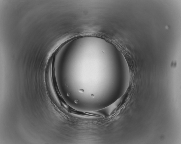 X0000090610244200707241112