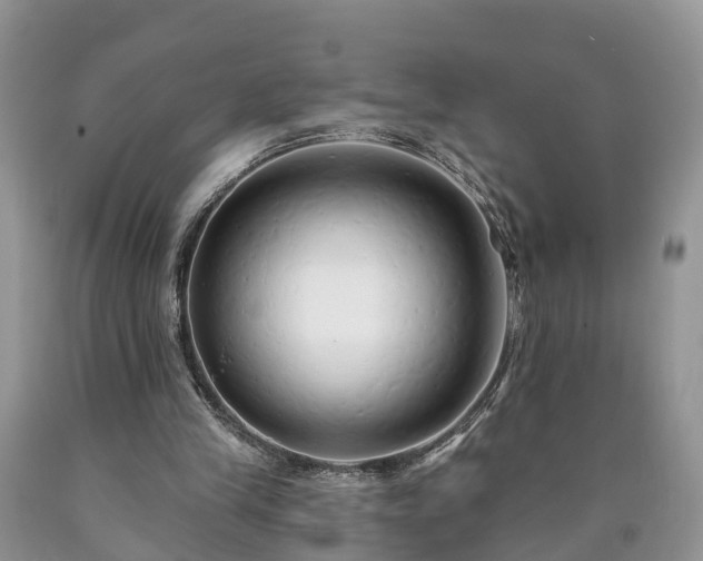 X0000090610245200707241112