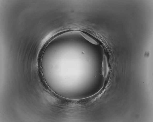 X0000090610246200707241113