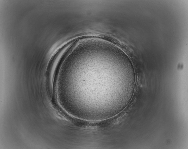 X0000090610247200707241113