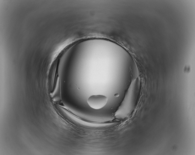 X0000090610248200707241113