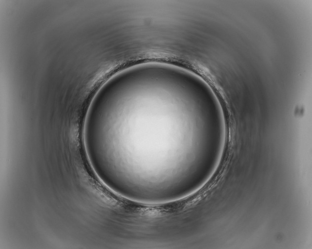 X0000090610249200707241113