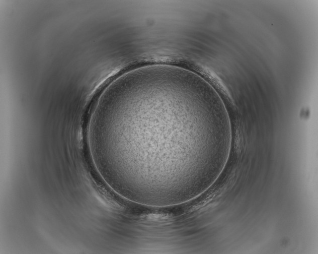 X0000090610251200707241113