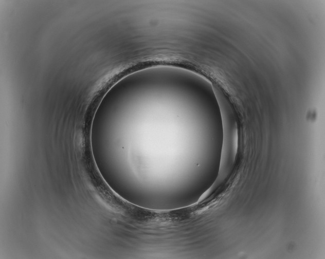 X0000090610252200707241113