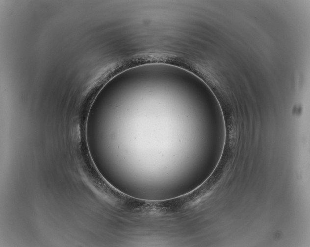 X0000090610254200707241113