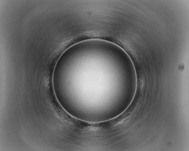 X0000090610255200707241113