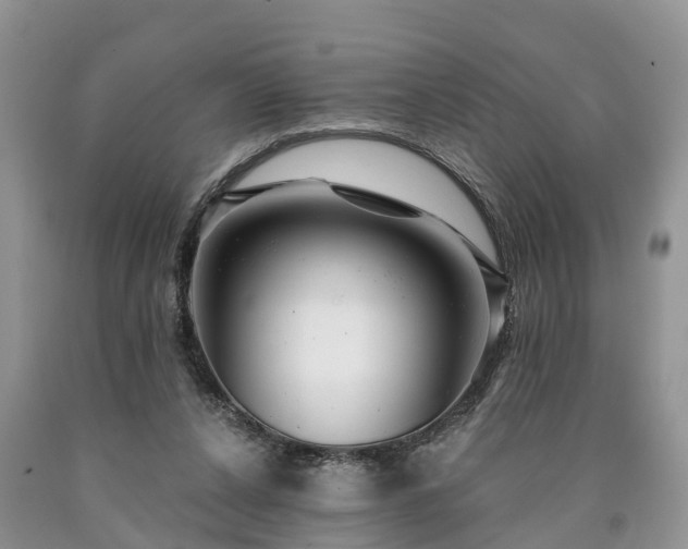 X0000090610256200707241113