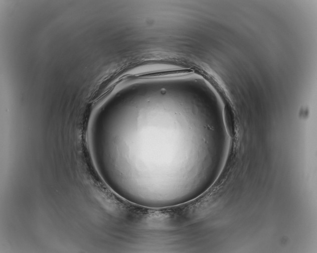 X0000090610257200707241113