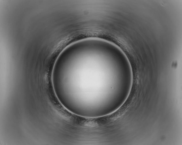 X0000090610258200707241113