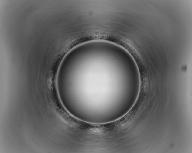 X0000090610259200707241113