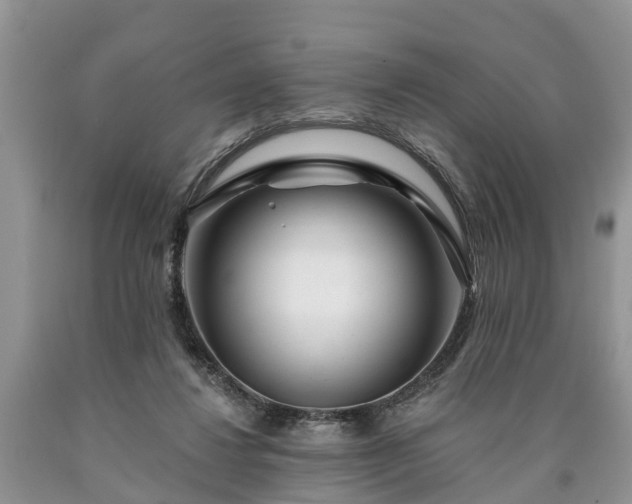 X0000090610260200707241113