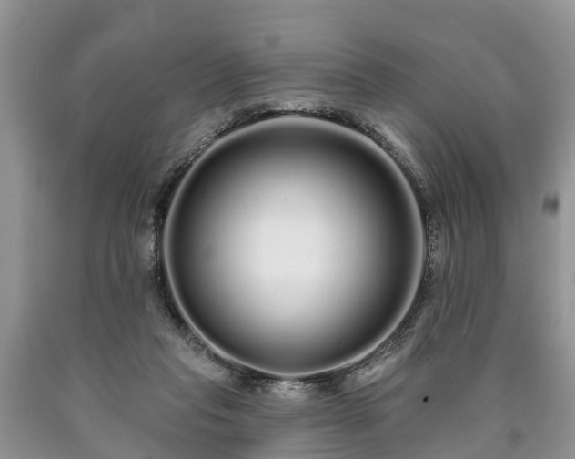 X0000090610261200707241113