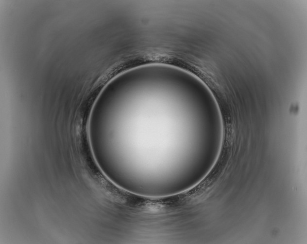 X0000090610263200707241113