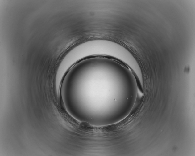 X0000090610264200707241113