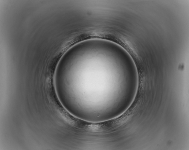 X0000090610265200707241113