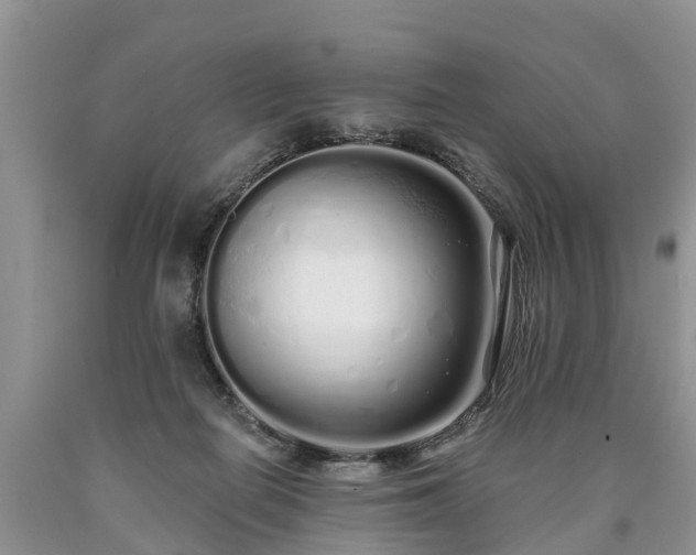 X0000090610266200707241113