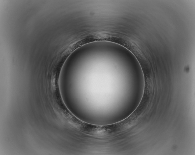 X0000090610267200707241113