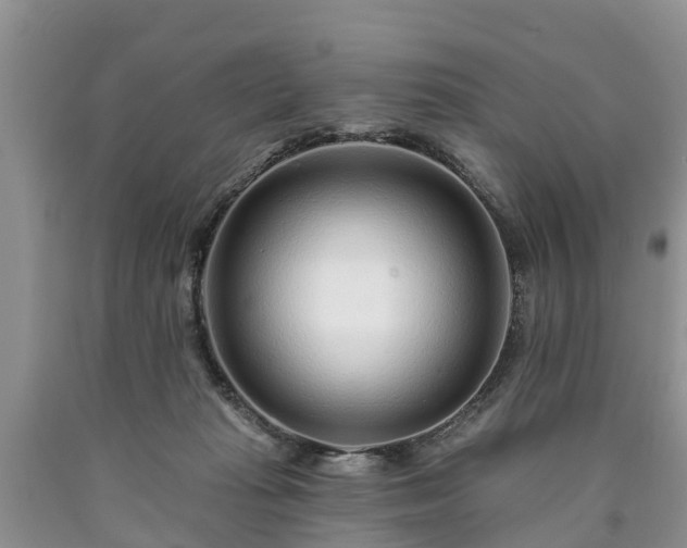 X0000090610269200707241113