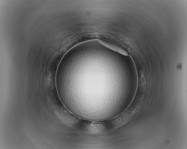 X0000090610270200707241113