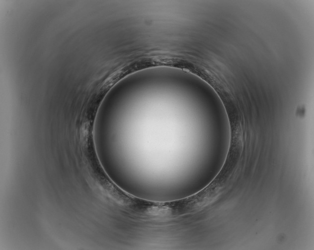 X0000090610271200707241113