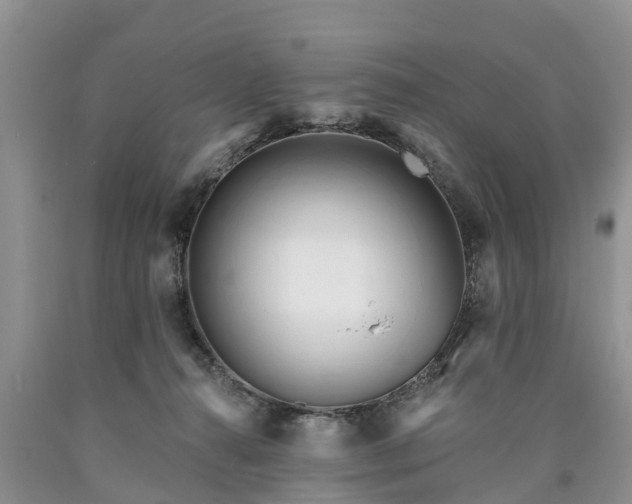 X0000090610272200707241113