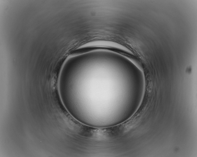 X0000090610273200707241113