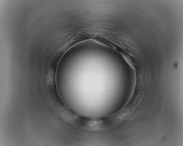 X0000090610274200707241113