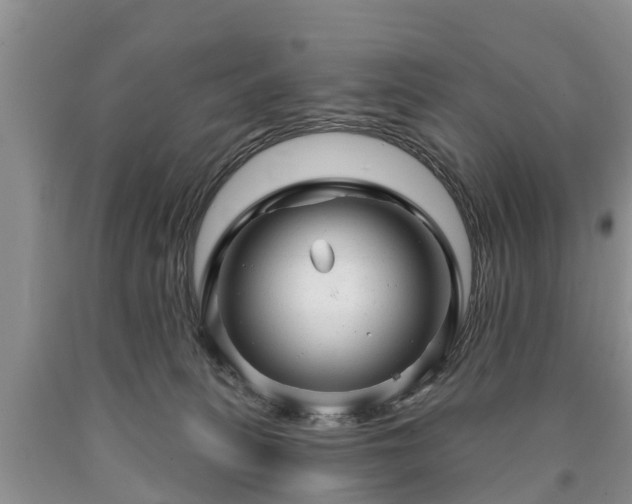 X0000090610275200707241113