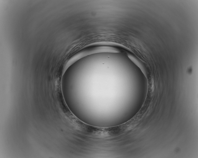 X0000090610276200707241113