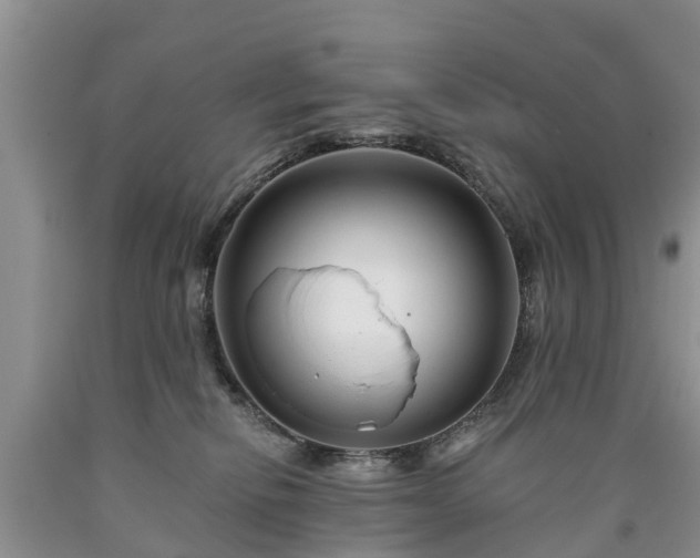 X0000090610278200707241113