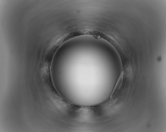 X0000090610280200707241113