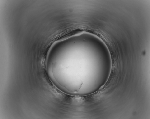 X0000090610281200707241113