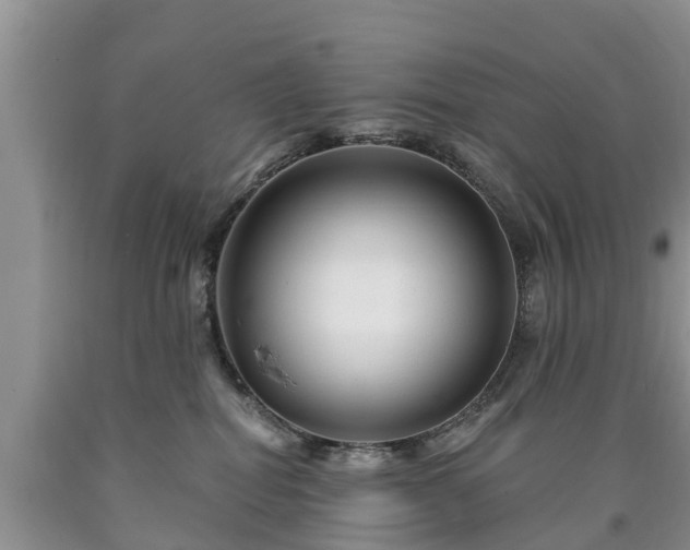 X0000090610282200707241113