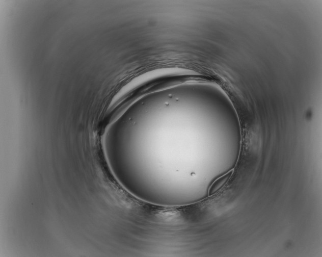 X0000090610283200707241113