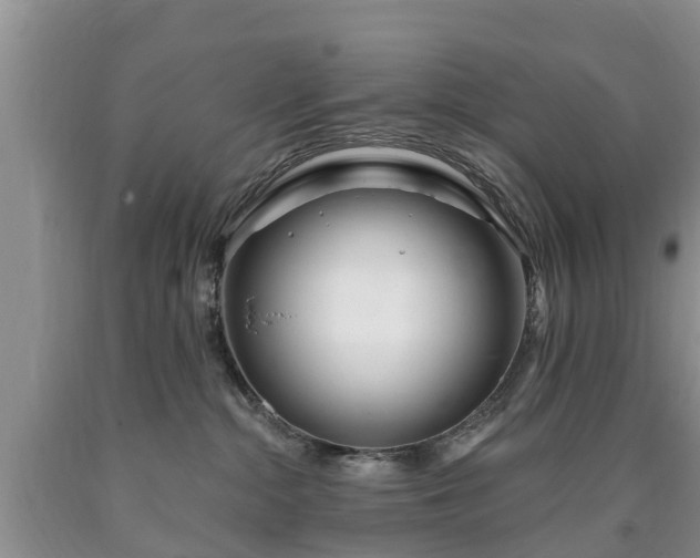 X0000090610284200707241113