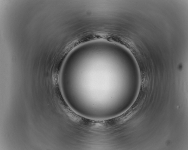 X0000090610285200707241113