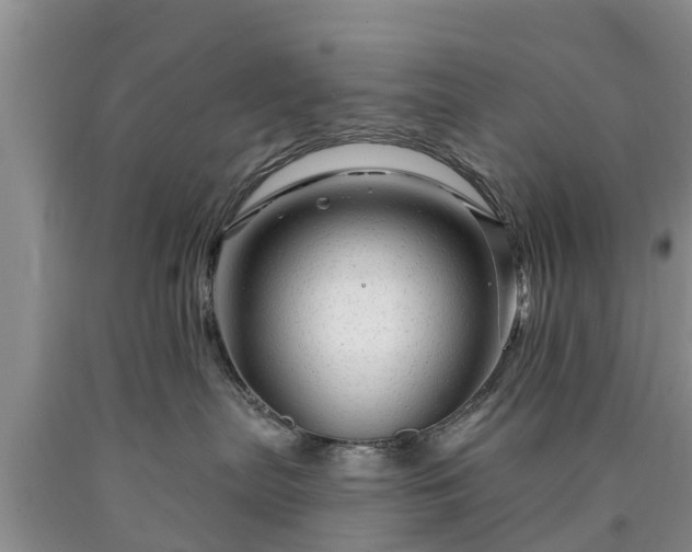 X0000090610287200707241113