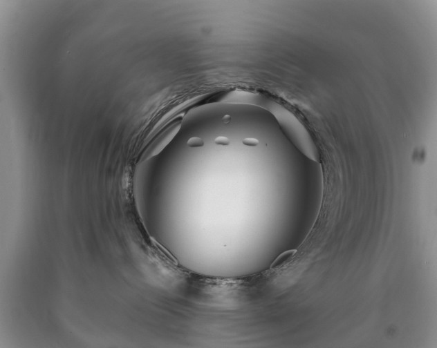 X0000090610288200707241113