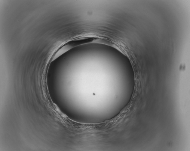 X0000090610289200707241112