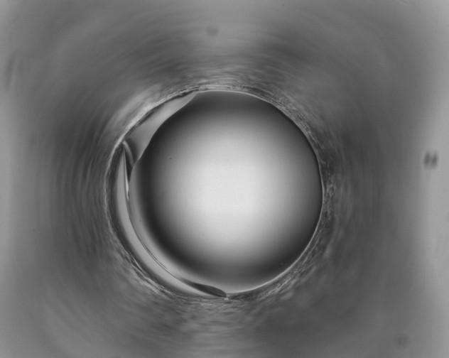 X0000090610290200707241112