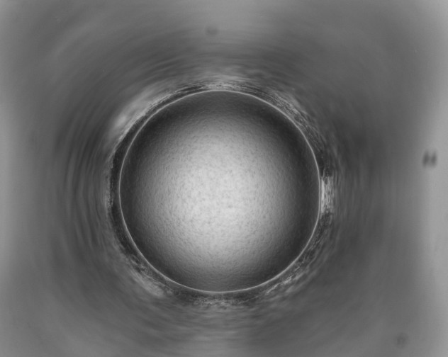 X0000090610291200707241112