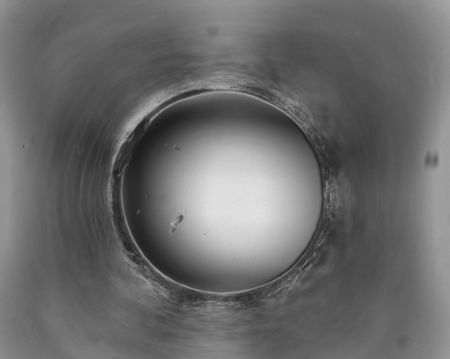 X0000090610292200707241112