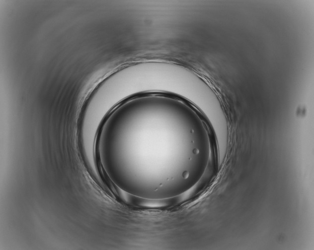 X0000090610293200707241112