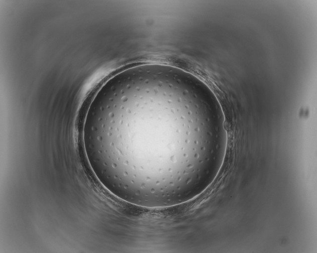 X0000090610294200707241112