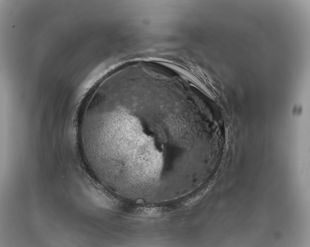 X0000090610295200707241112