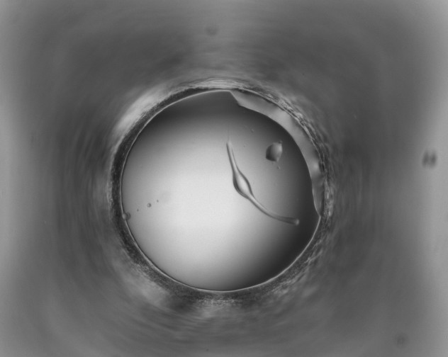 X0000090610296200707241112