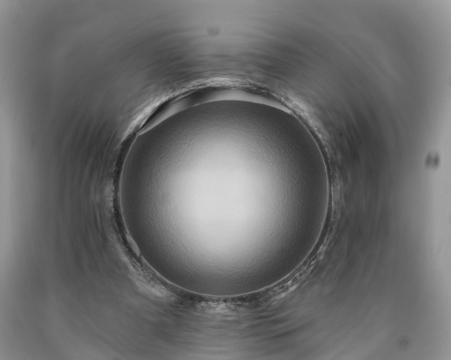 X0000090610297200707241112