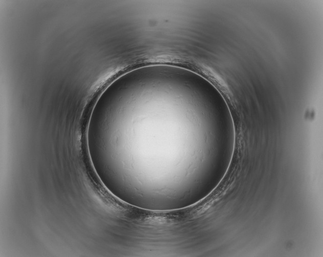 X0000090610298200707241112